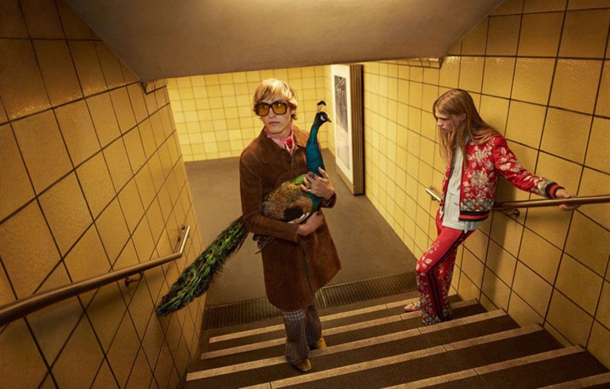 GUCCI-Werbespots von Runway Magazin