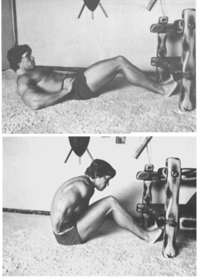 Arnold Schwarzenegger - ejercicio en casa por RUNWAY REVISTA