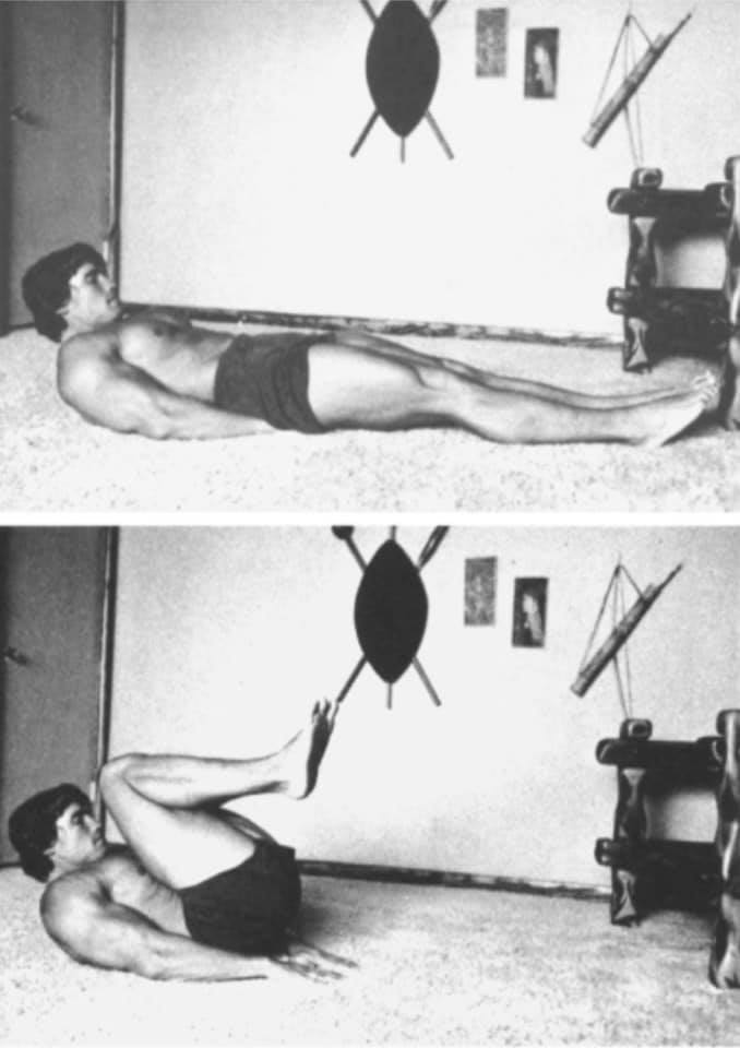 Arnold Schwarzenegger - ejercicio en casa por RUNWAY REVISTA