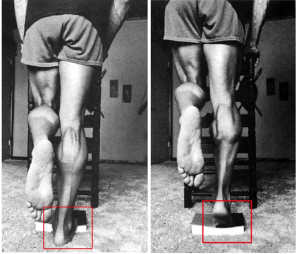 Arnold Schwarzenegger - ejercicio en casa por RUNWAY REVISTA