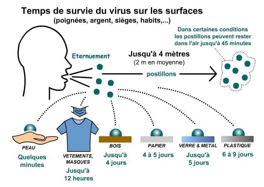 Temps de survie du coronavirus covid-19 sur les surface
