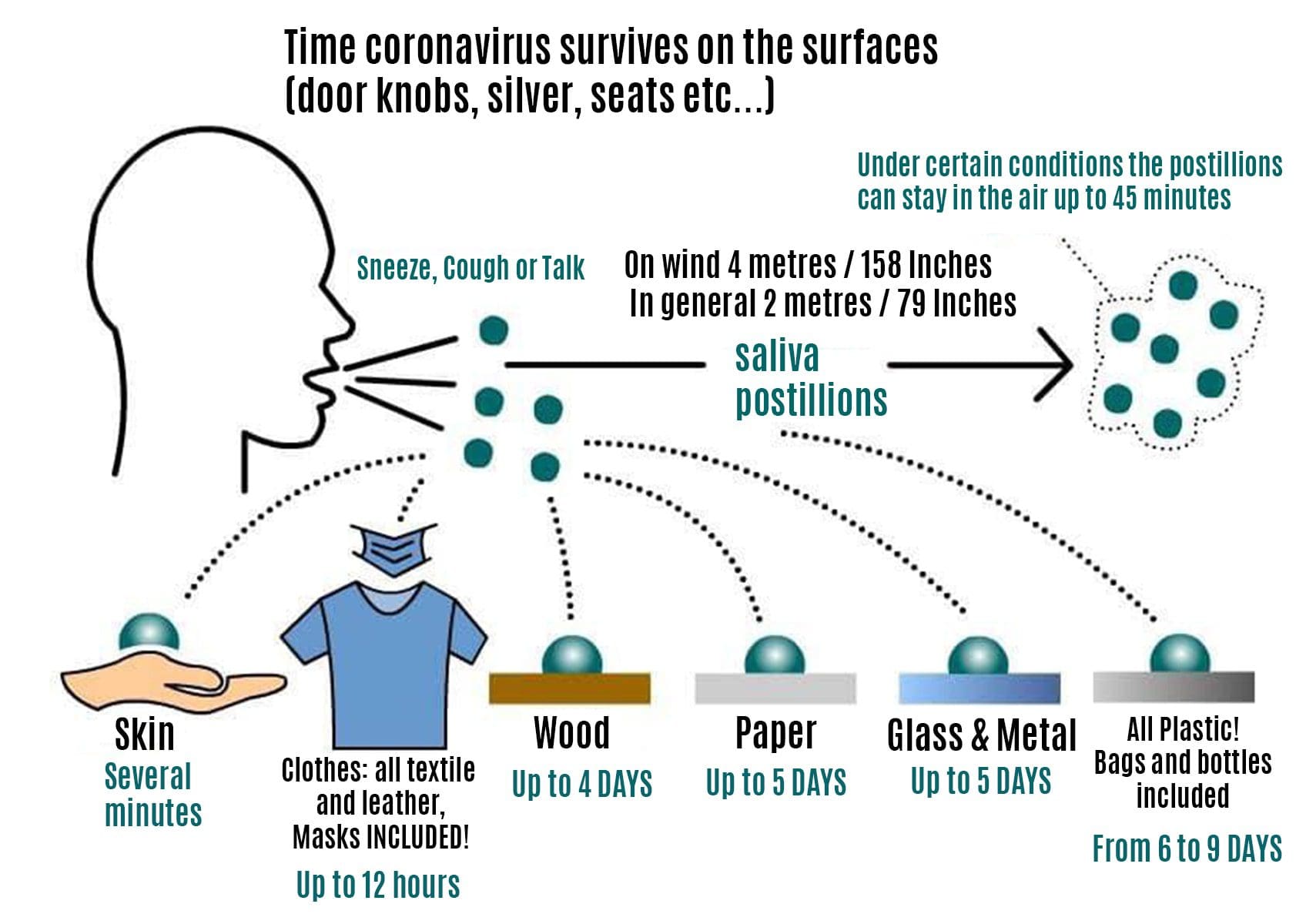 Hora en que el coronavirus covid-19 sobrevive en las superficies
