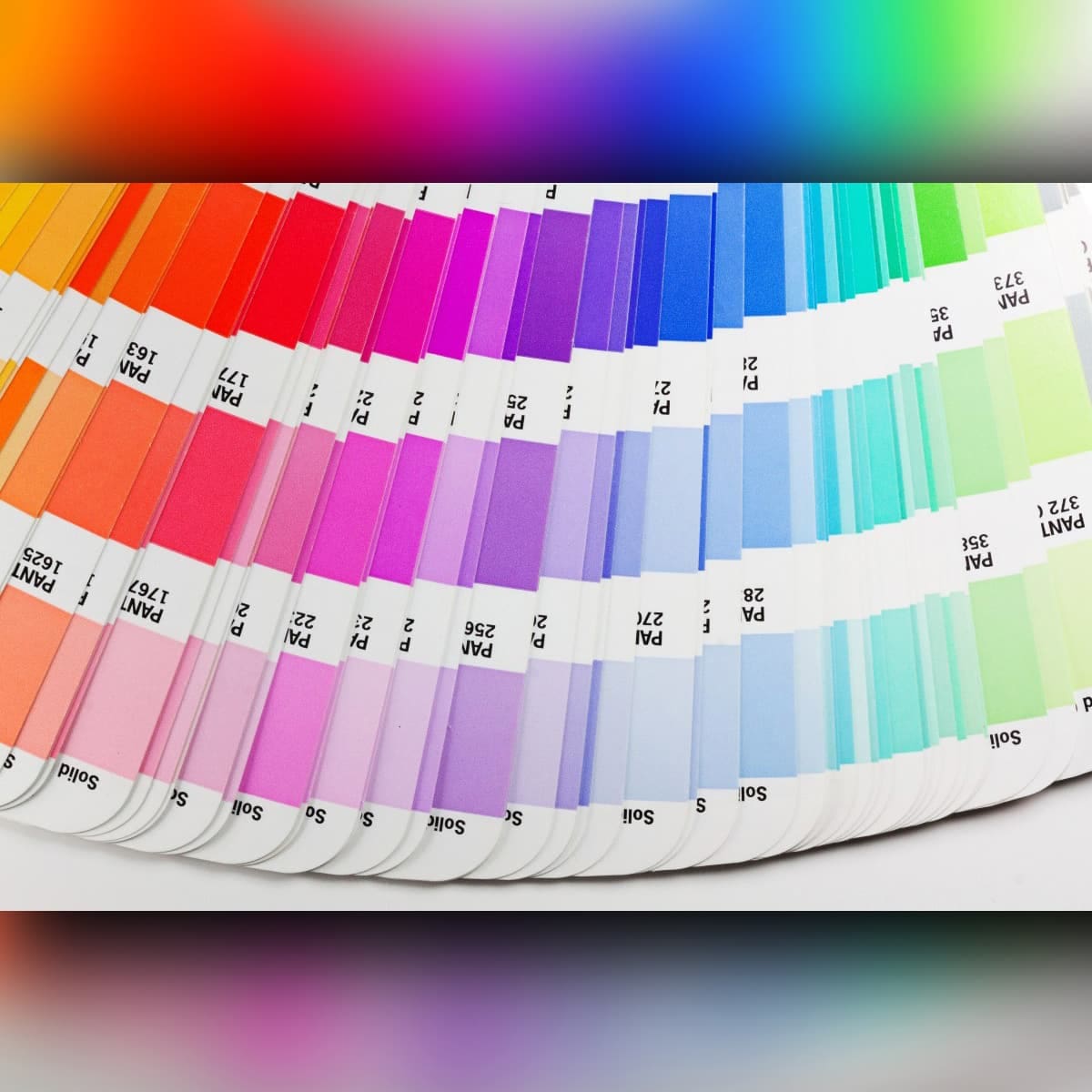 Таблица цветов Pantone PINK