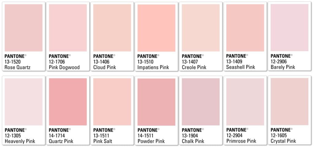 PINK Палитра Pantone