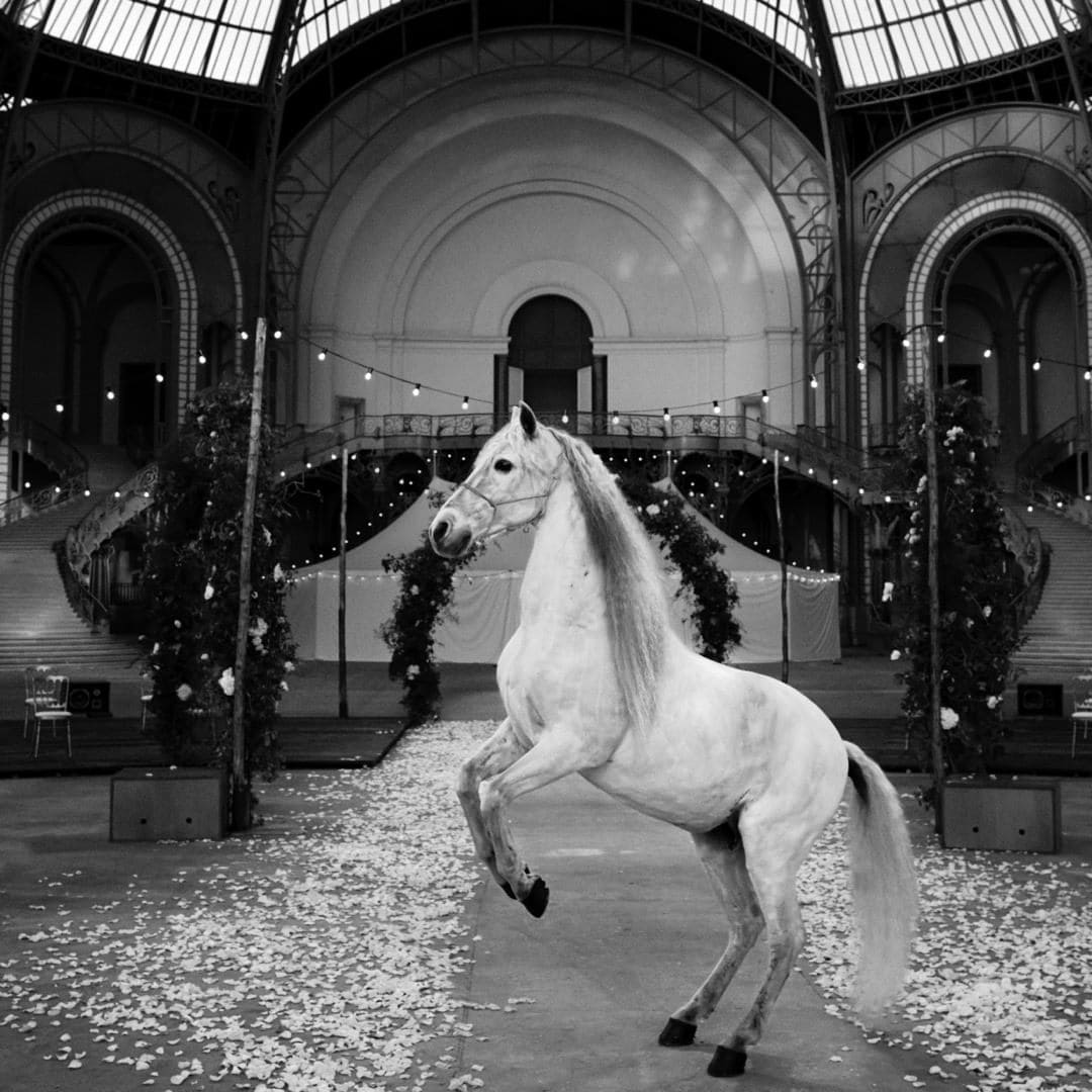 Chanel Haute Couture Primavera Verano 2021 de RUNWAY REVISTA