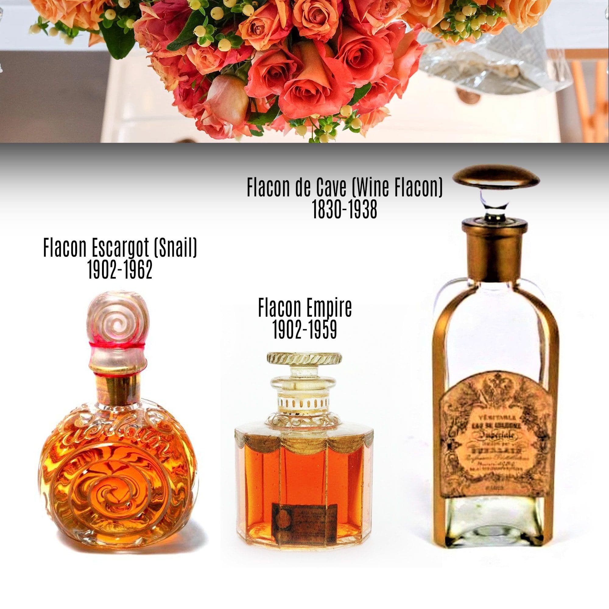 Flacon de Cave (Wine Flacon), Flacon Empire, Flacon Escargot (Snail) - Tresors INPI di RUNWAY MAGAZINE