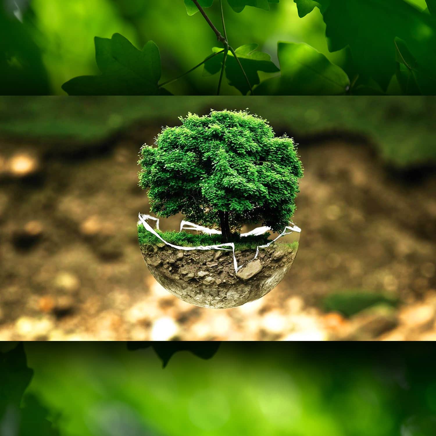 Environmental protection 2021