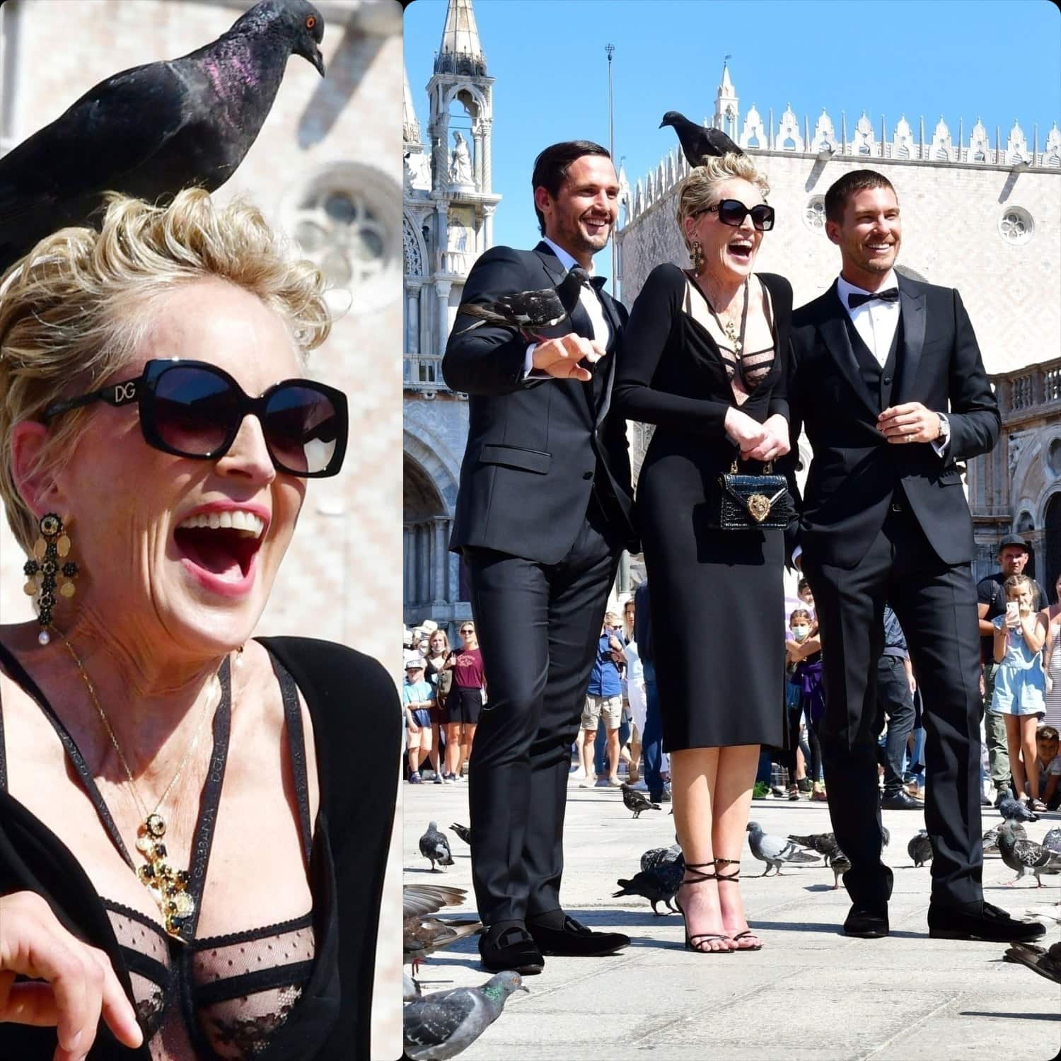 Sharon Stones Champagner-Shooting für Dolce Gabbana mit Taubenintervention RUNWAY MAGAZIN