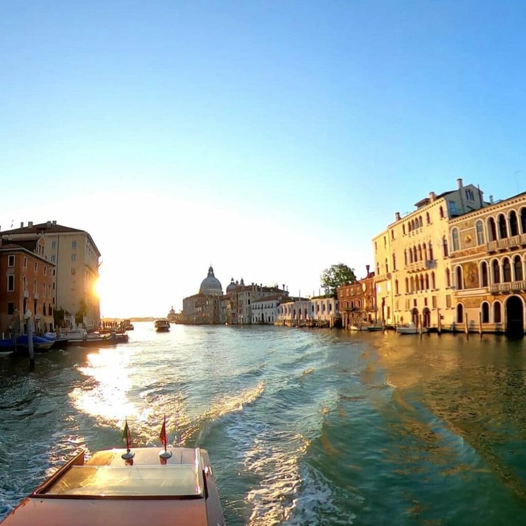 Saint Laurent Dinner Hypervenezia a Palazzo Grassi di RUNWAY MAGAZINE