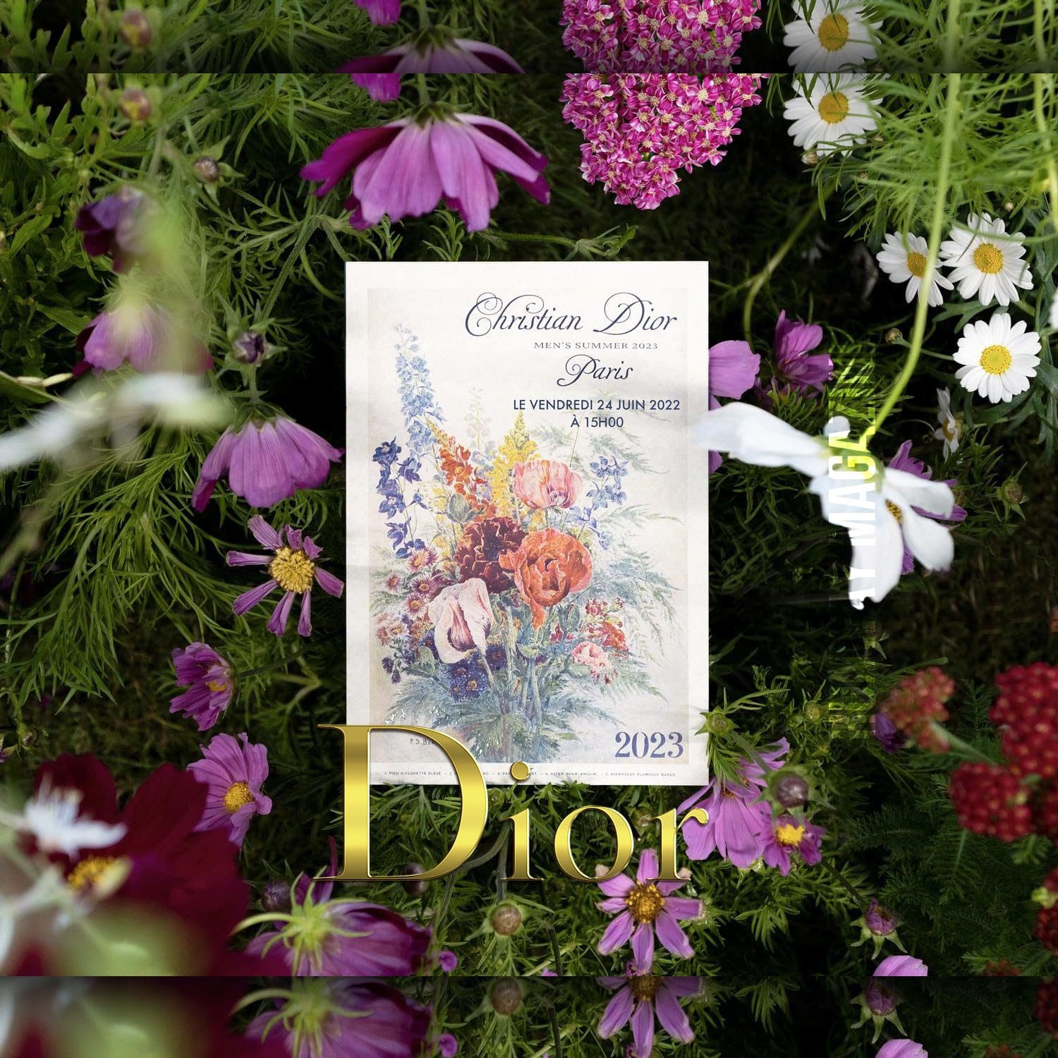 Dior Printemps Été 2023 Hommes Runway Magazine