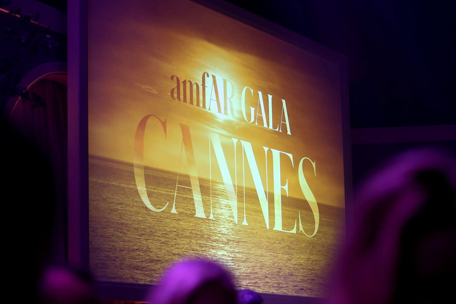 amfAR Gala Cannes 2022 Runway Magazine