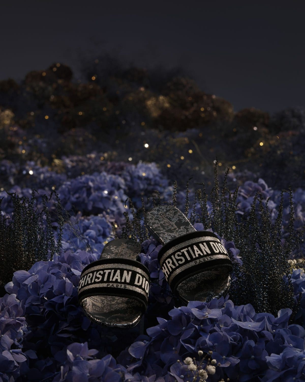 DIOR Natale 2022 Donna Rose des Vents © Elina Kechechiva2