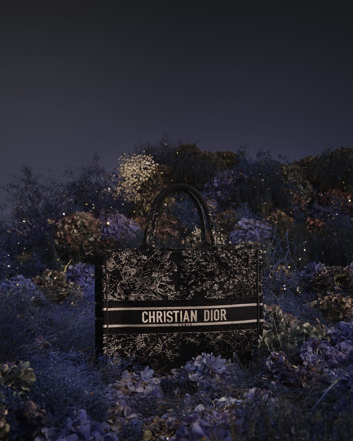 DIOR Christmas 2022 Women Rose des Vents © Elina Kechechiva1