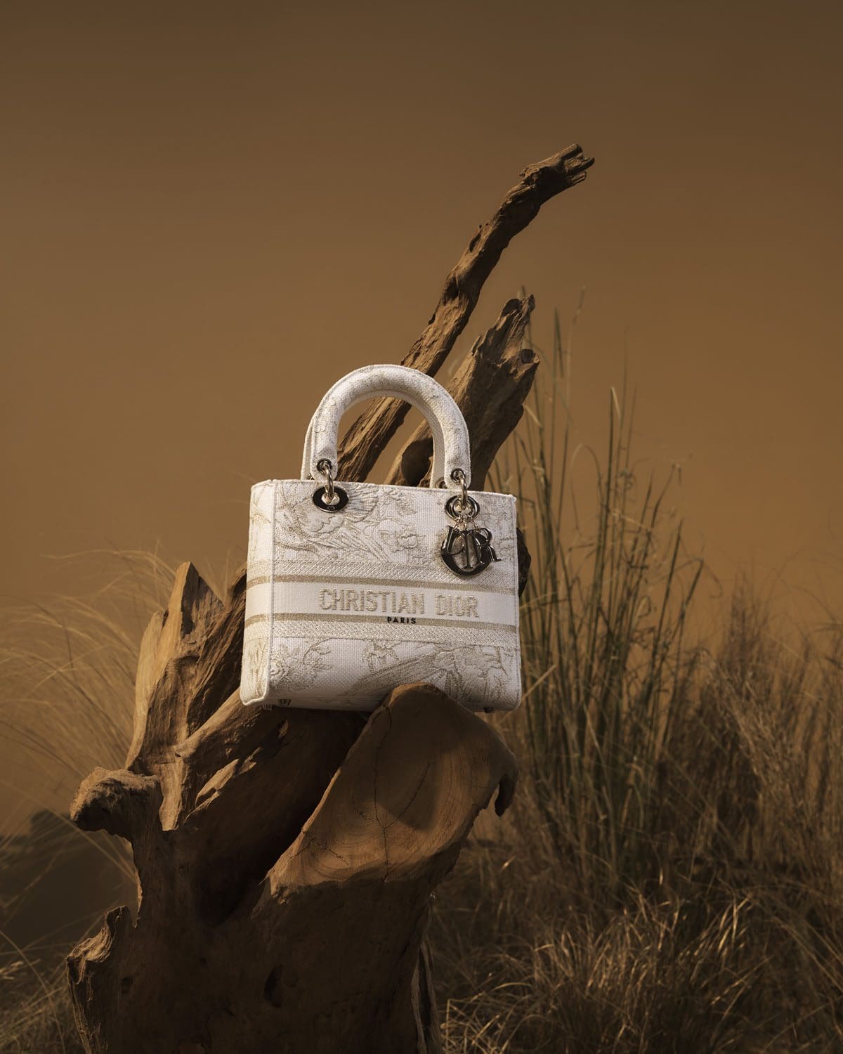 DIOR Natale 2022 Donna Savannah © Elina Kechechiva16