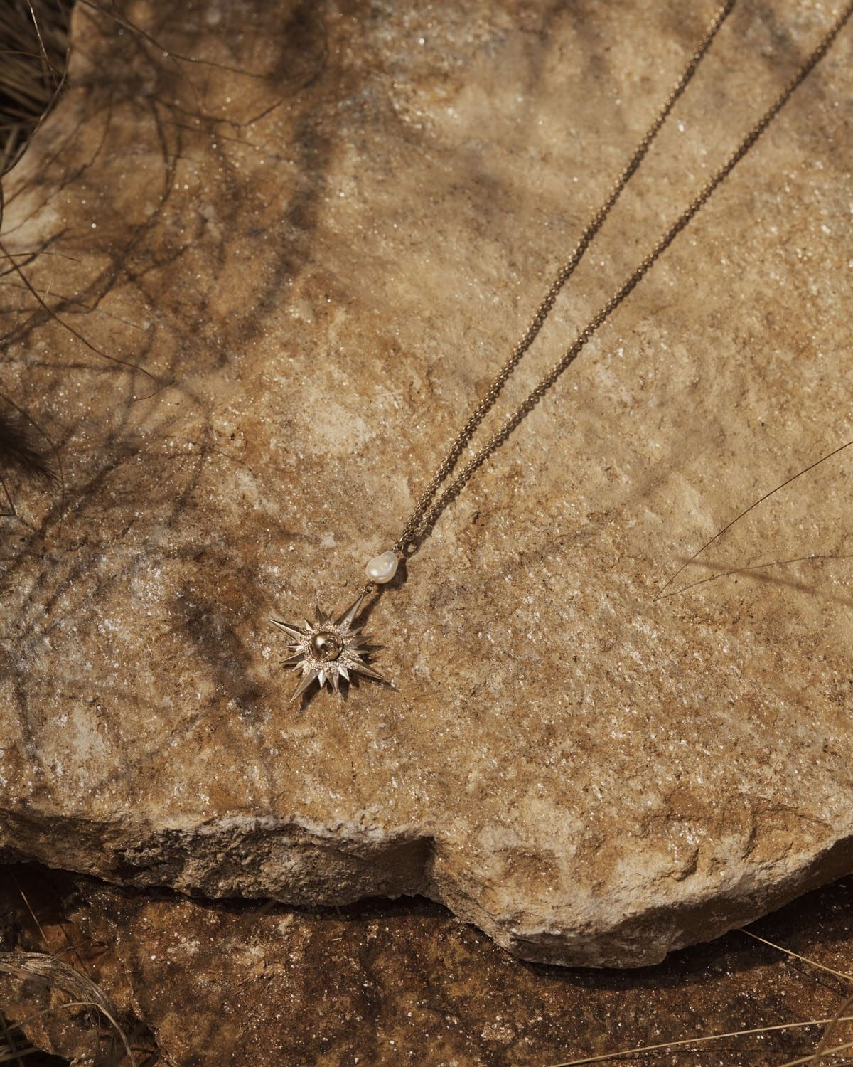 DIOR Natale 2022 Donna Savannah © Elina Kechechiva18