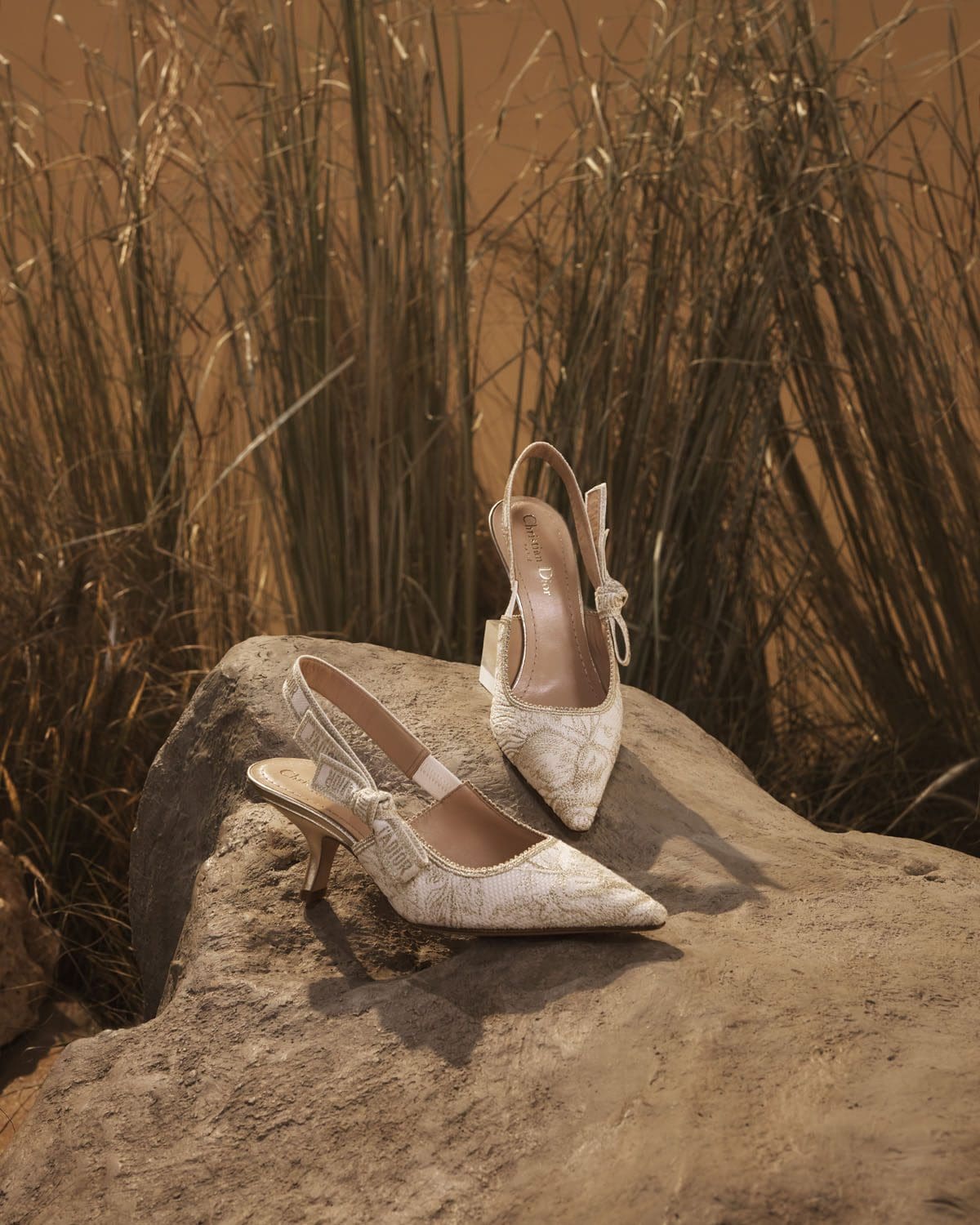 DIOR Natale 2022 Donna Savannah © Elina Kechechiva24