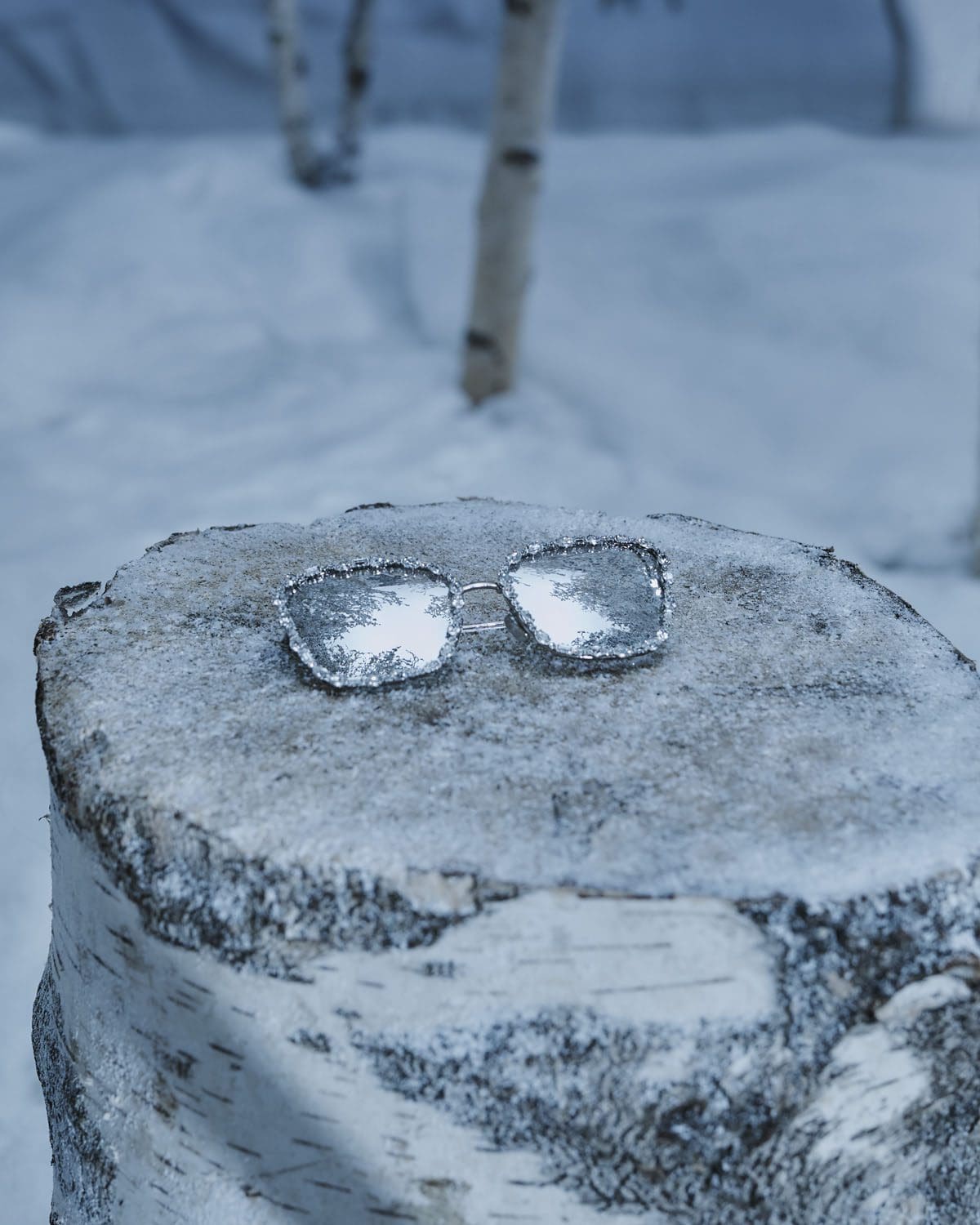 DIOR Christmas 2022 Women Siberia © Elina Kechechiva11