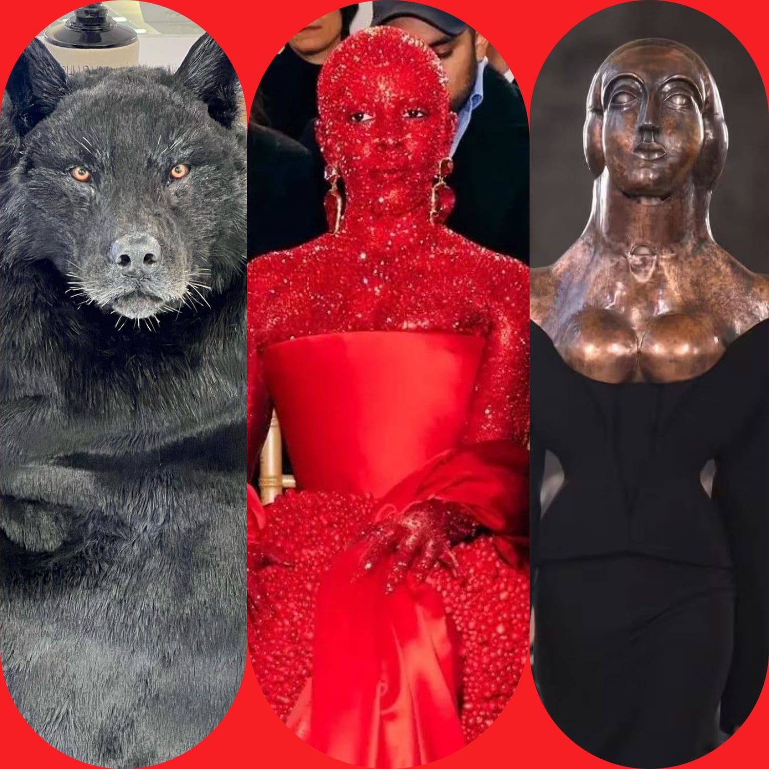 2 Schiaparelli Taxidermie Haute Couture Printemps Été 2023 Runway Magazine