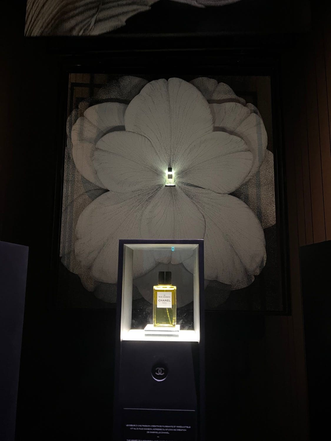 Exposition immersive Le Grand Numero de Chanel par RUNWAY CHARGEUR 77