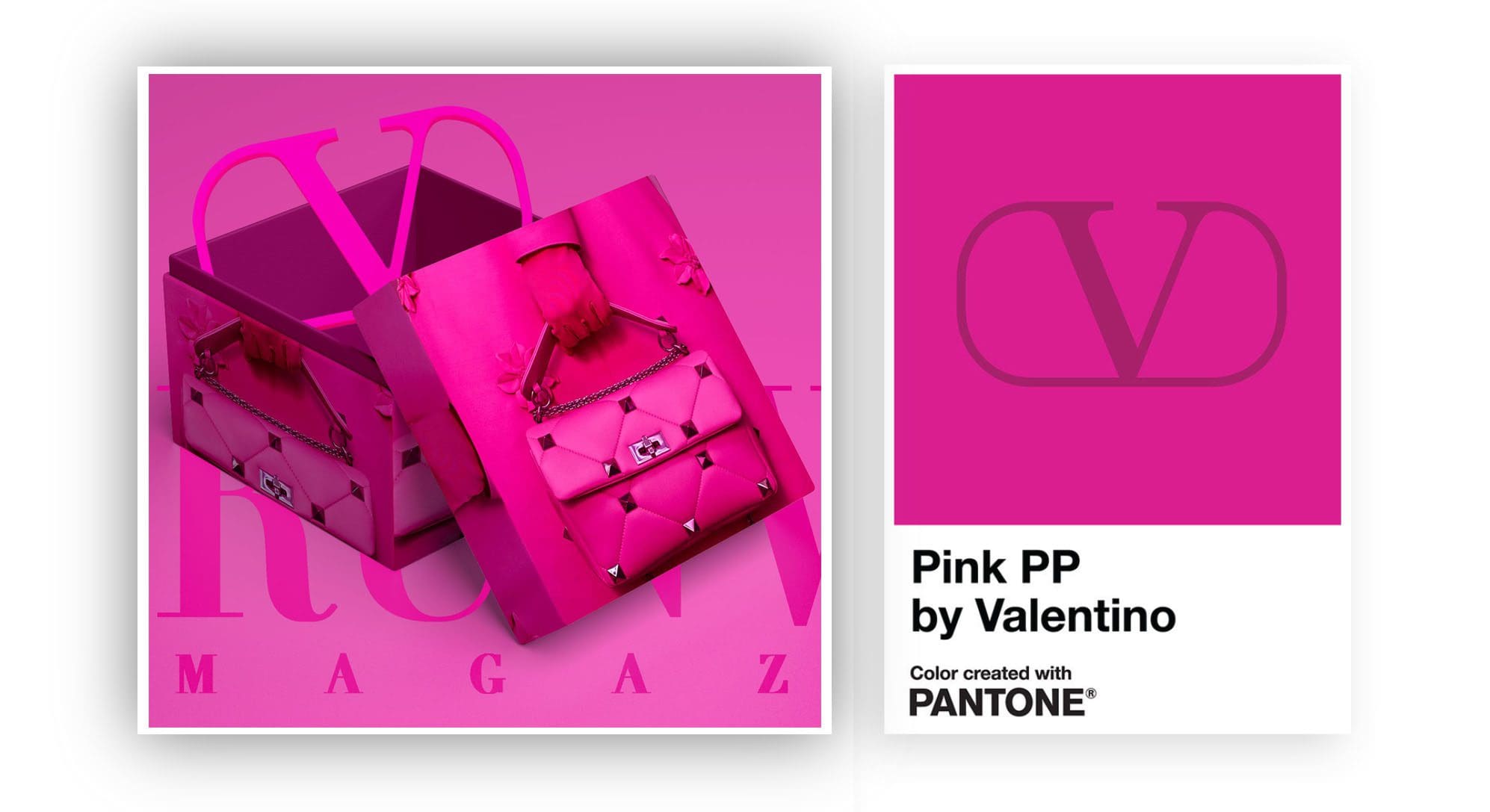 Valentino PP Rose Pantone