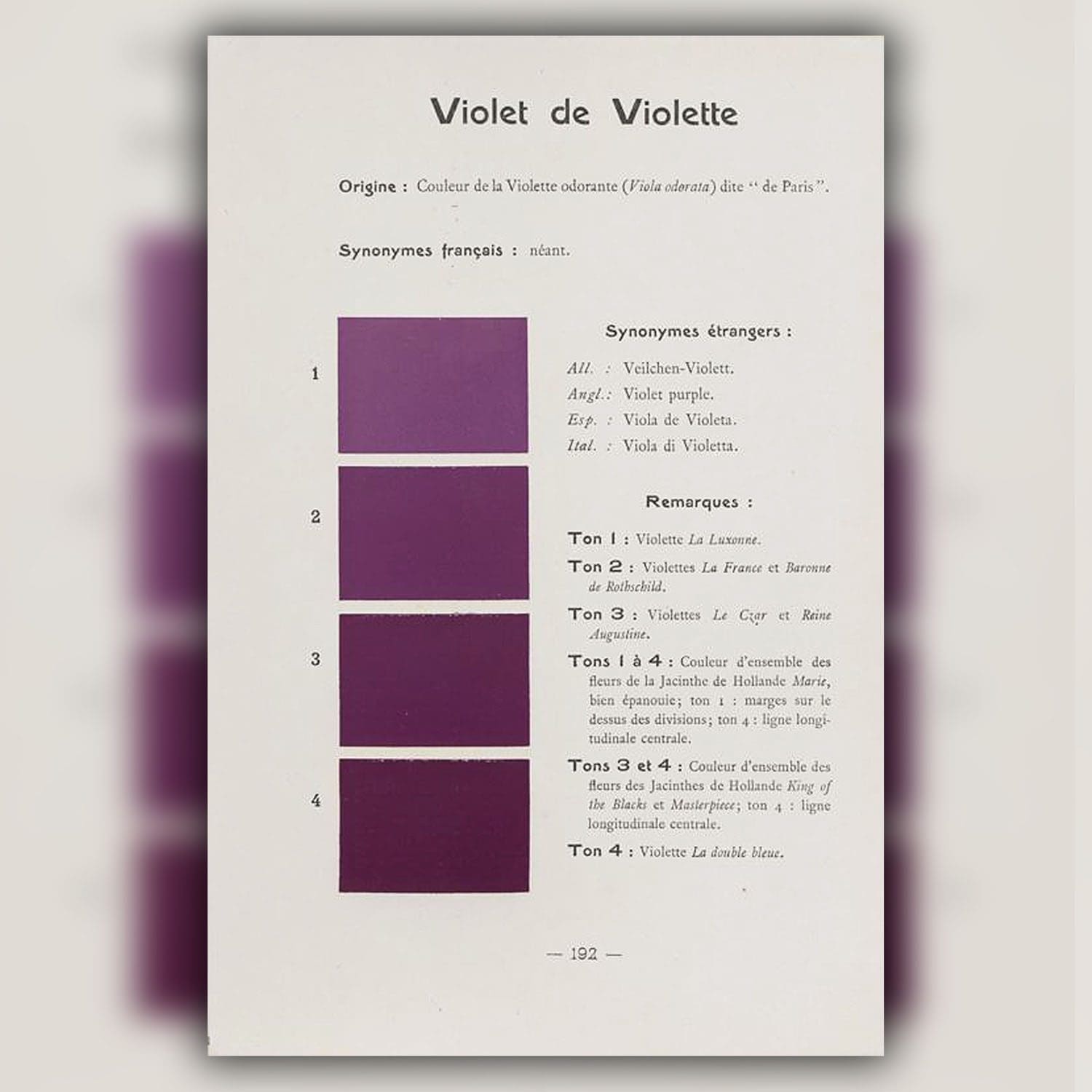 História e valores da cor violeta por Guillaumette Duplaix 8