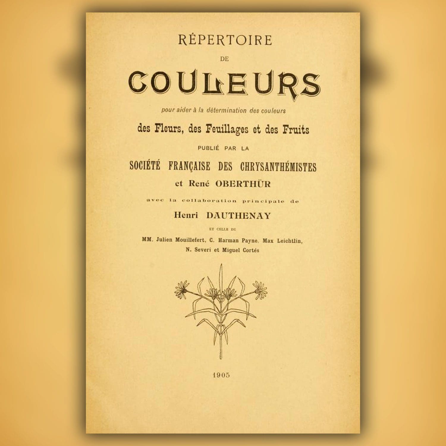 História e valores da cor violeta por Guillaumette Duplaix 9