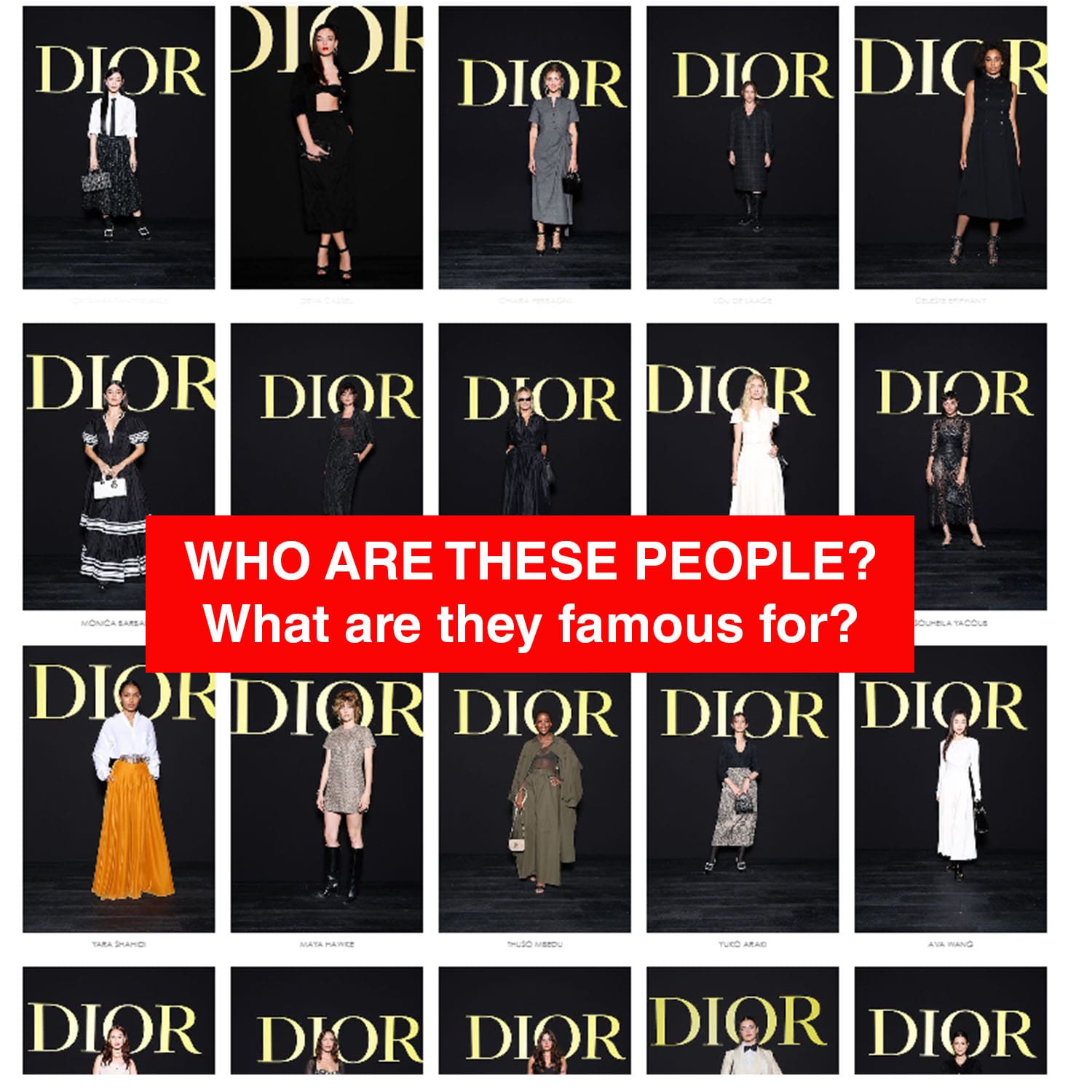 Estrellas desconocidas en Dior Spring 2024 show