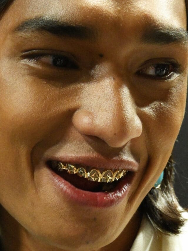 Louis Vuitton 秋冬金色护腿 2024 作者：Pharrell