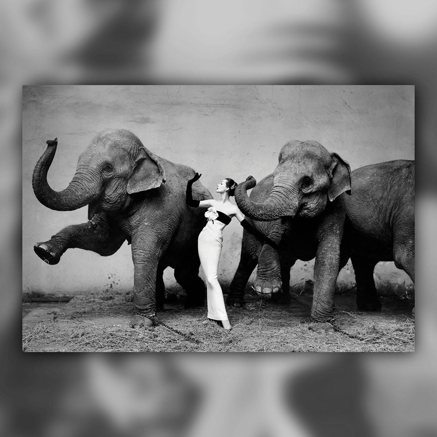 Photographers Who Shaped Fashion 20