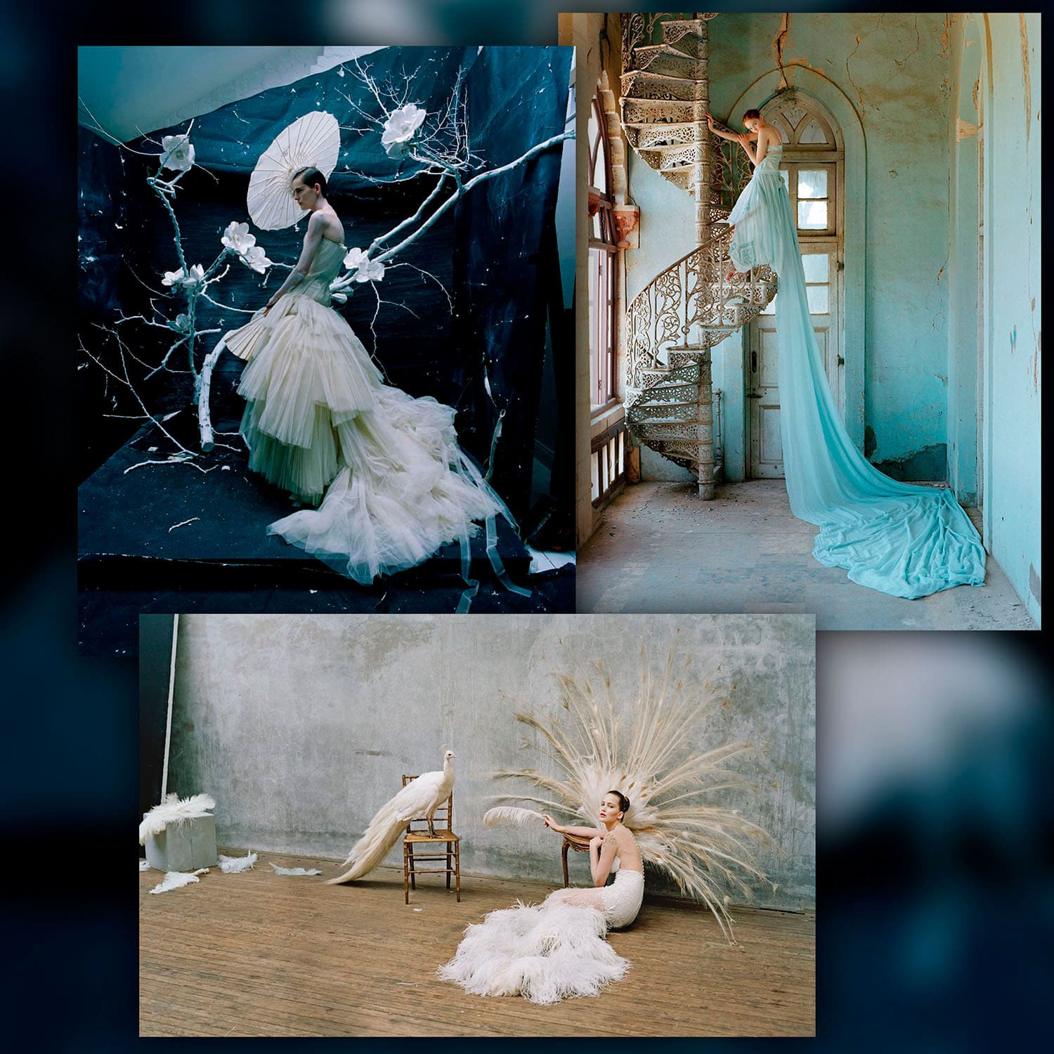 Photographers Who Shaped Fashion 28