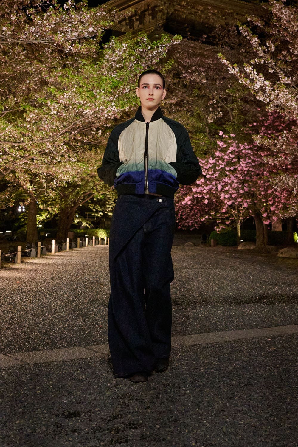 Dior осень 2025 Киото Runway Журнал (39)