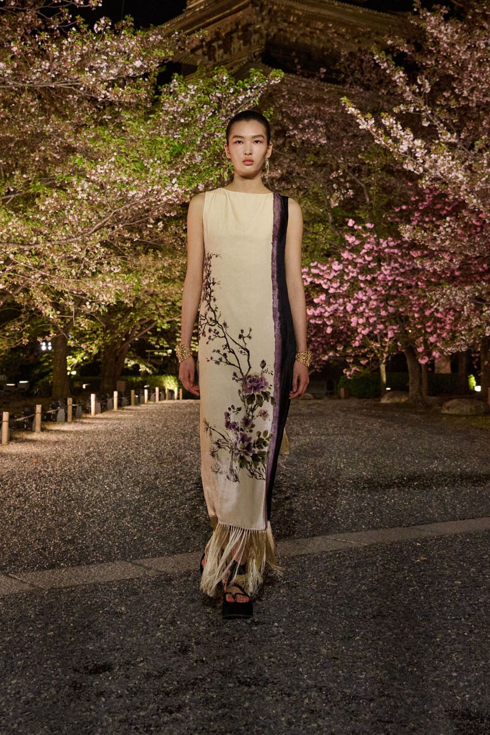 Dior осень 2025 Киото Runway Журнал (52)