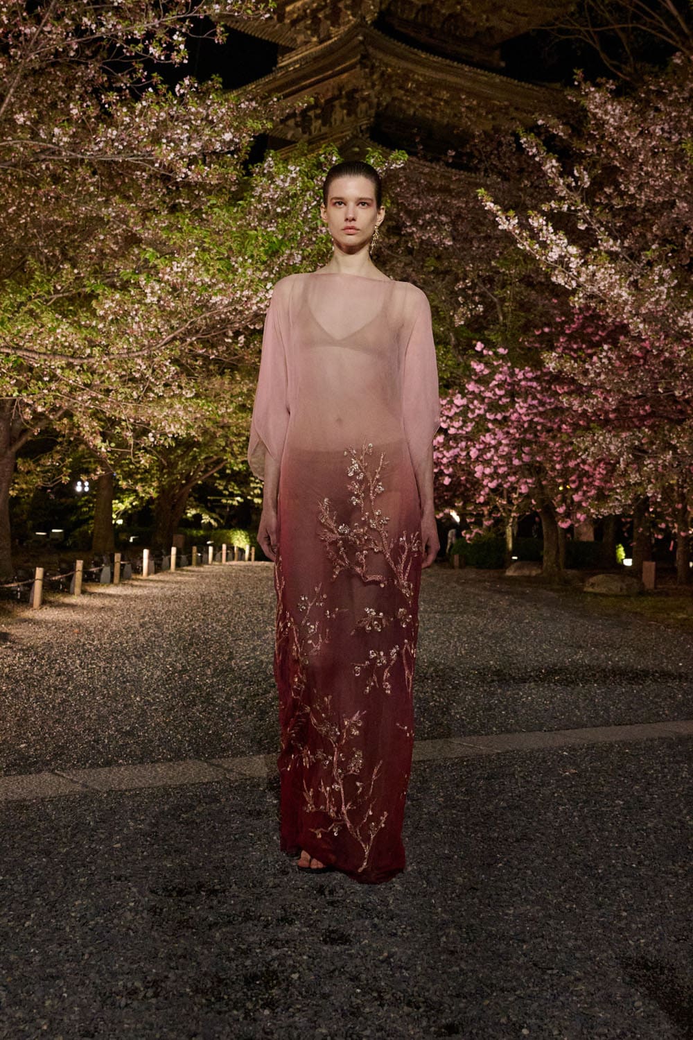 Dior осень 2025 Киото Runway Журнал (71)