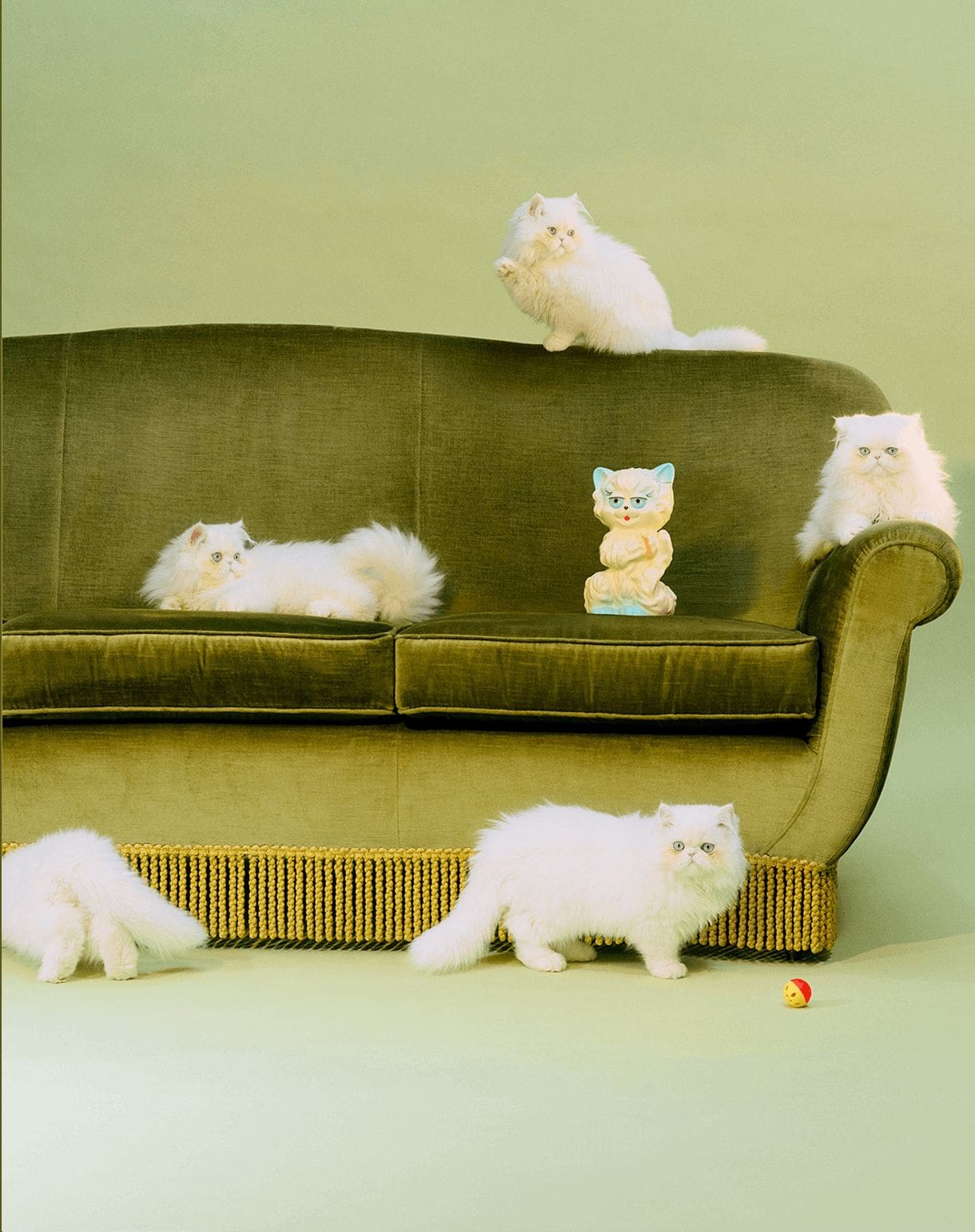 7 Le Chat de la Maison Valentino Chupette Lagerfeld