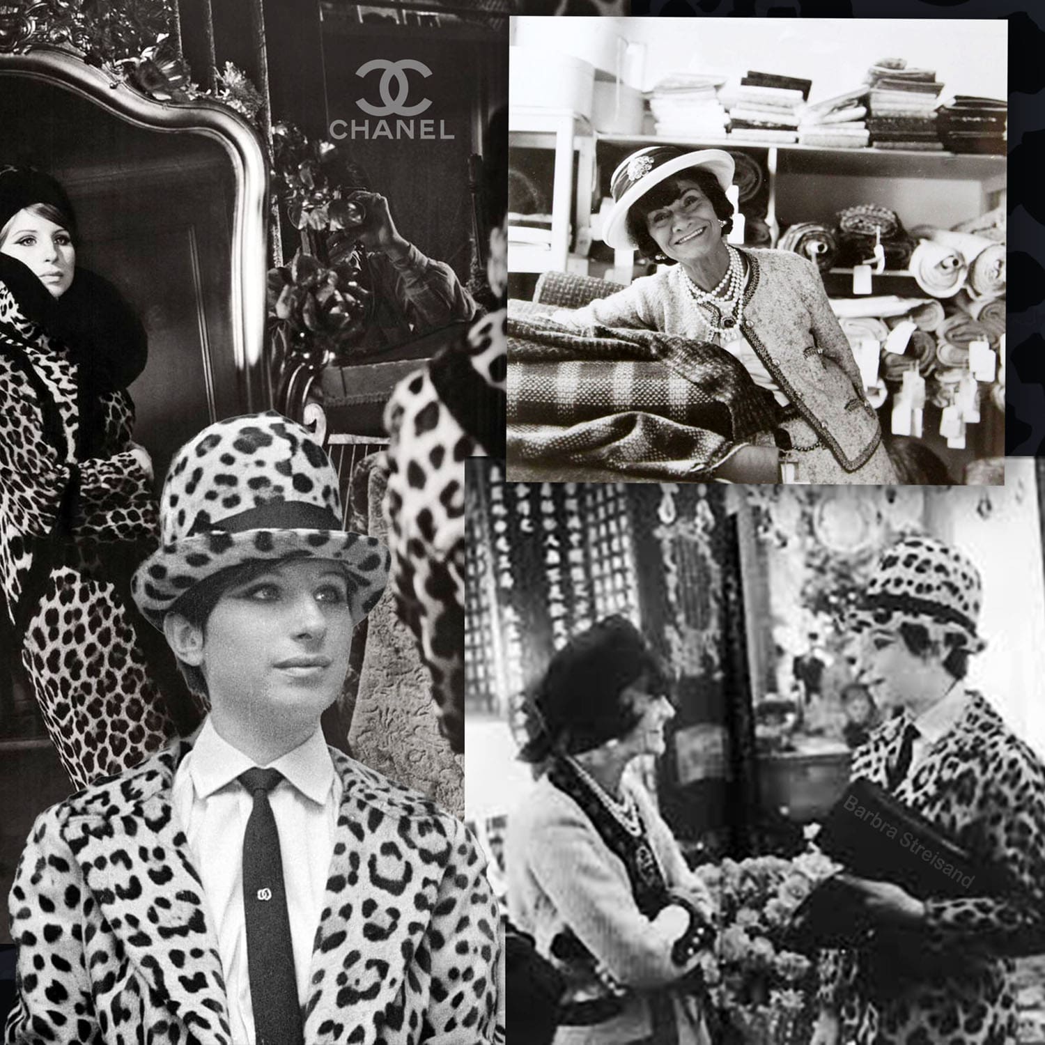 Animal Print history and trend 2025 2026 by Runway Magazine (15)