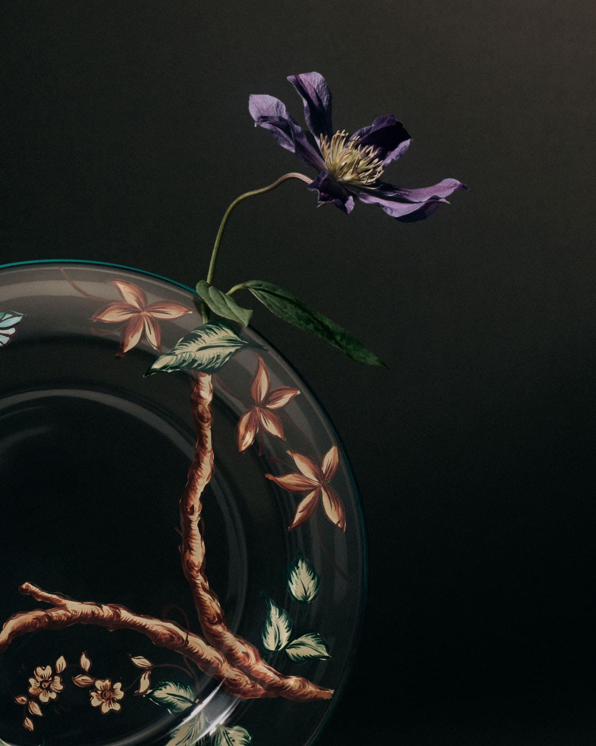 5 Dior Maison Ranelagh Lifestyle ASSIETTES 0349 BASE