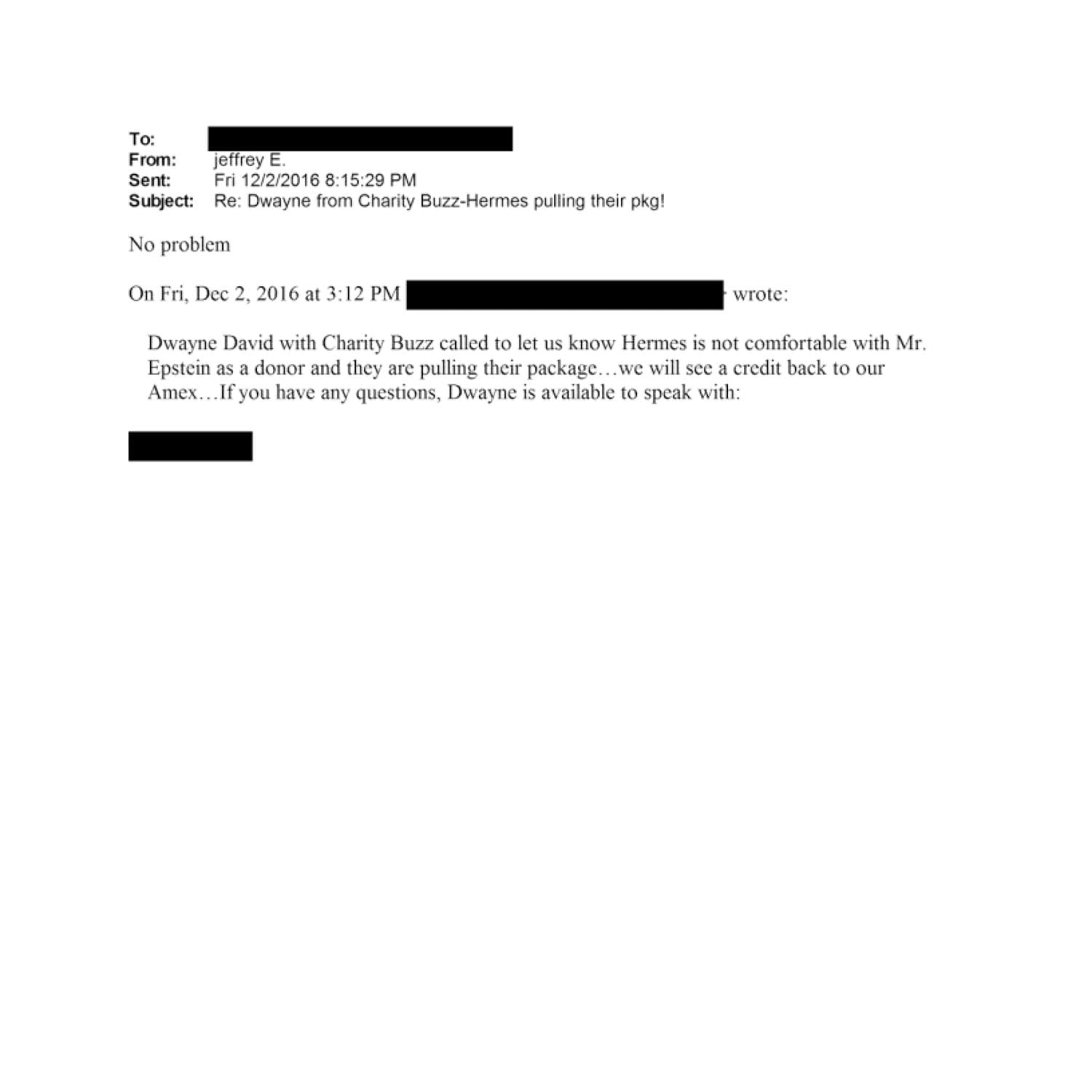 CharityBuzz Hermès refused Jeffrey Epstein donation 01