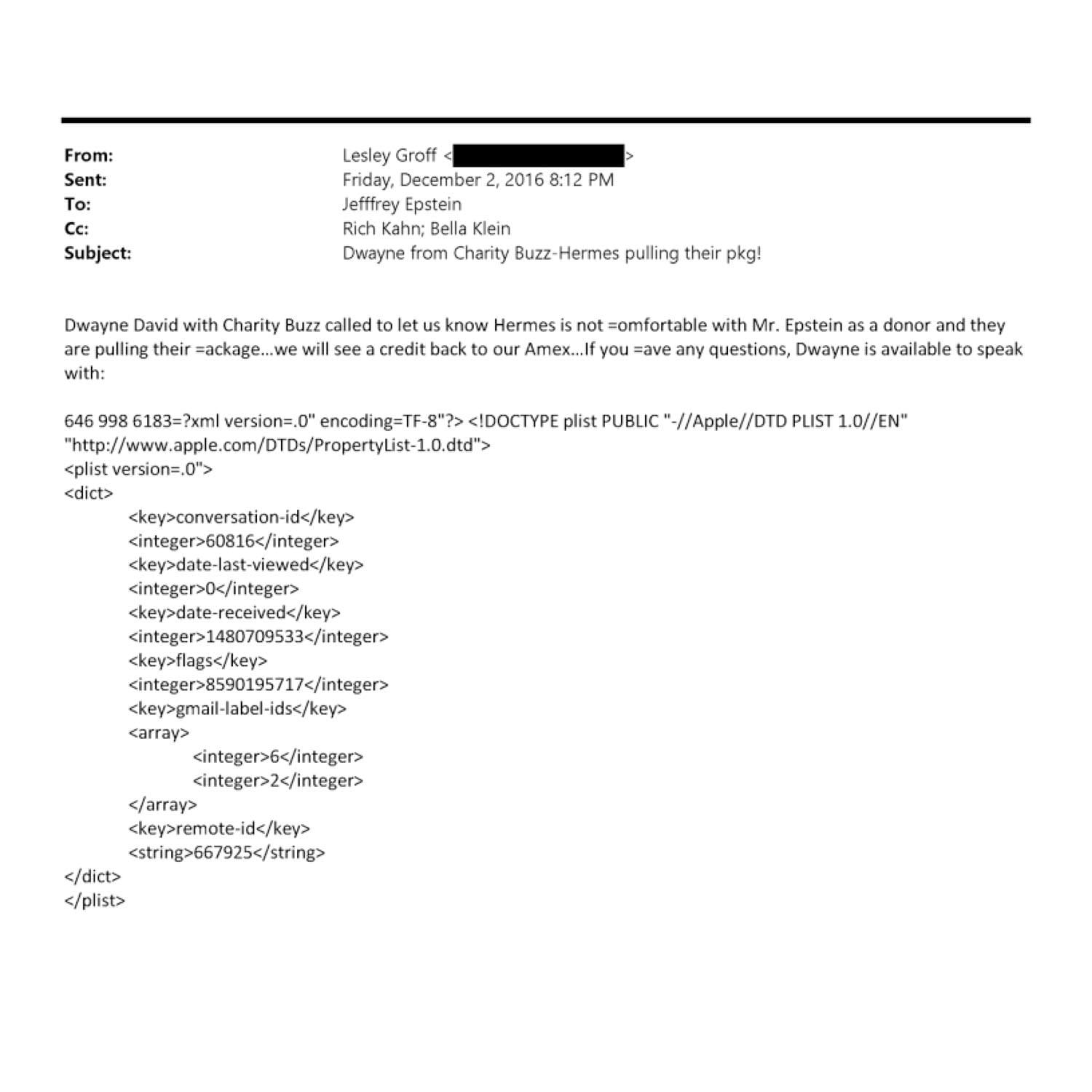 CharityBuzz Hermès refused Jeffrey Epstein donation 02