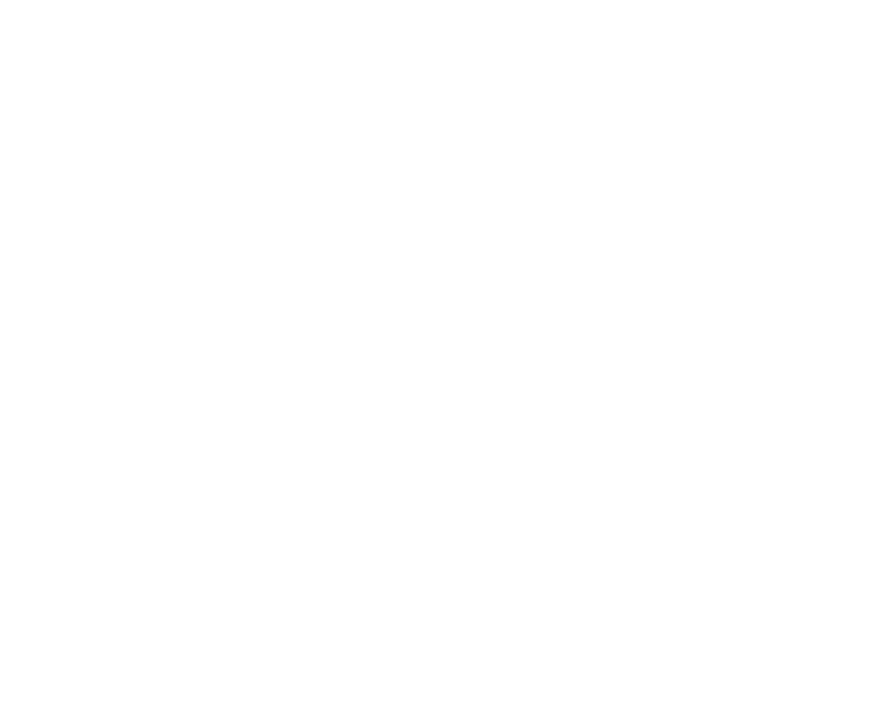 RUNWAY MAGAZINE INC