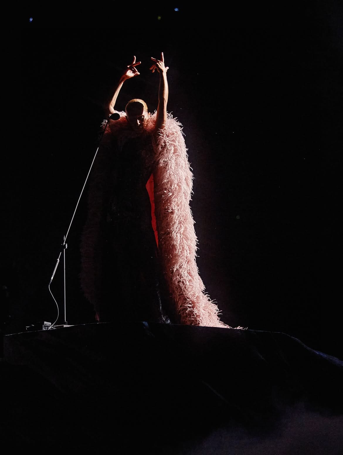 Céline Dion in Givenchy by Sarah Burton RUNWAY MAGAZINE 2
